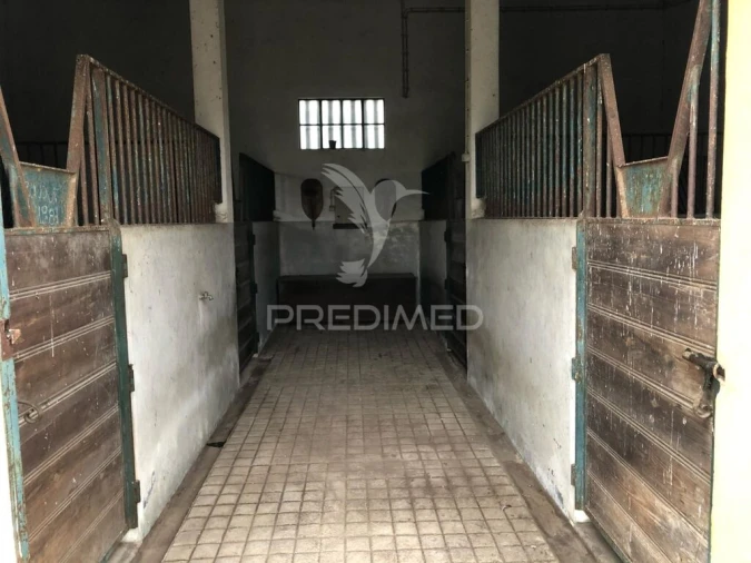 Quinta T4 para Venda em Vale de Santarem Foto 19