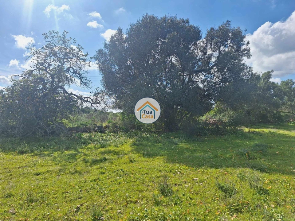 Terreno para Venda em Faro (Sé e São Pedro) Foto 10