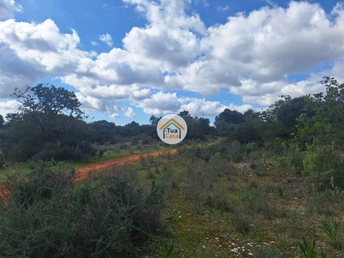 Terreno para Venda em Faro (Sé e São Pedro) Foto 5