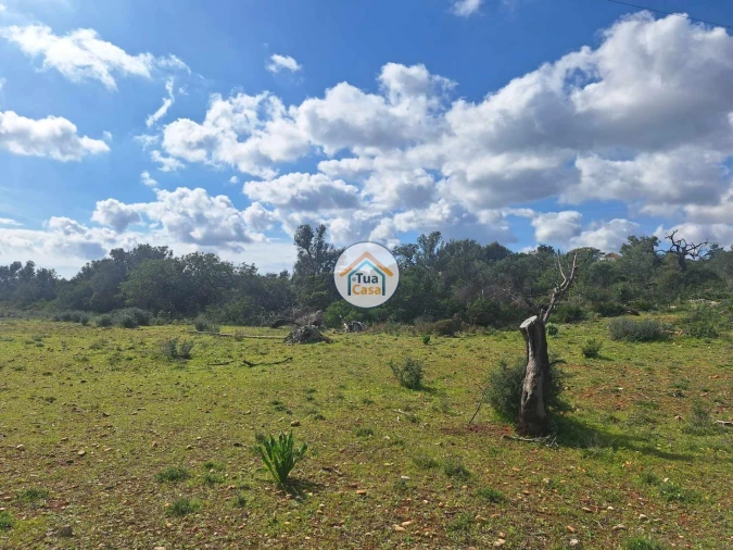 Terreno para Venda em Faro (Sé e São Pedro) Foto 7