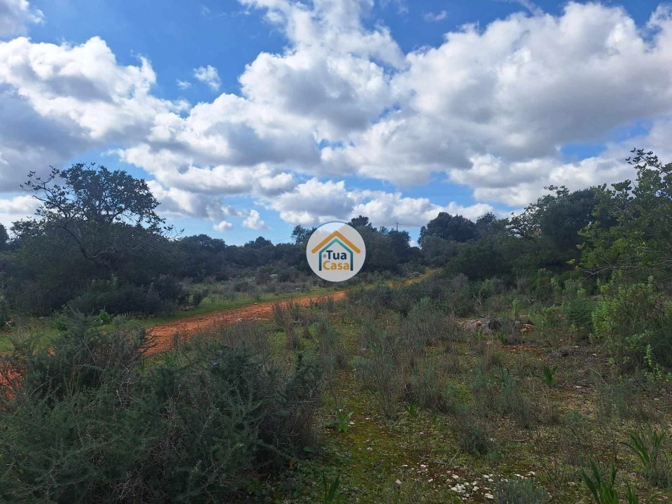 Terreno para Venda em Faro (Sé e São Pedro) Foto 5