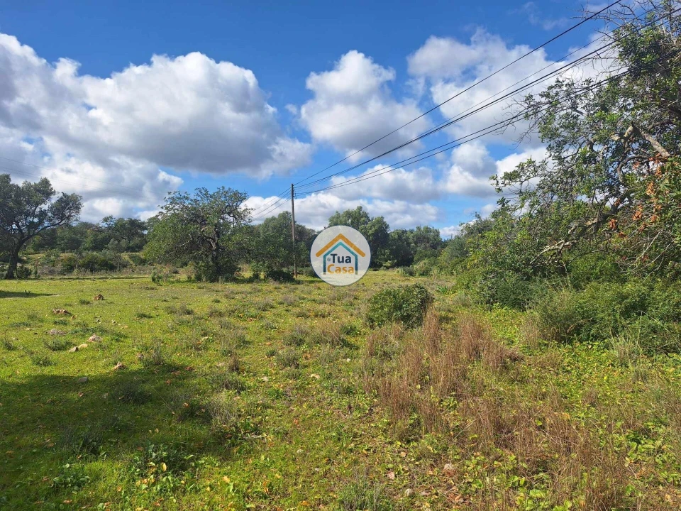Terreno para Venda em Faro (Sé e São Pedro) Foto 12