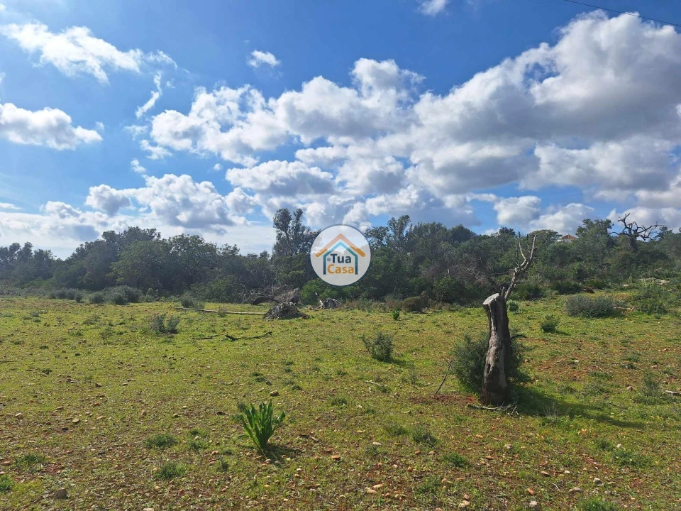 Terreno para Venda em Faro (Sé e São Pedro) Foto 7