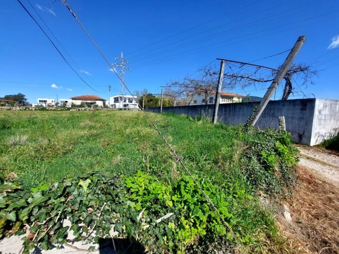 Terreno para Venda em Carrazedo Foto 5