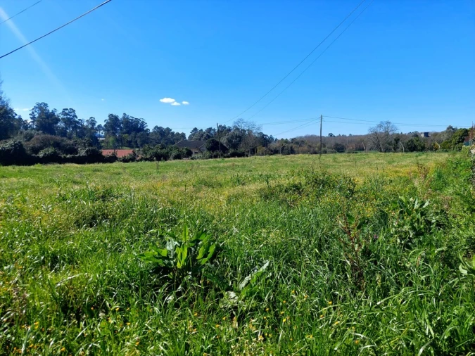 Terreno para Venda em Carrazedo