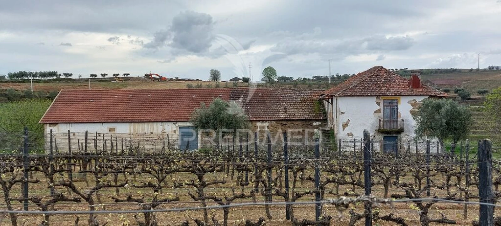 Quinta T5 para Venda em Favaios Foto 7