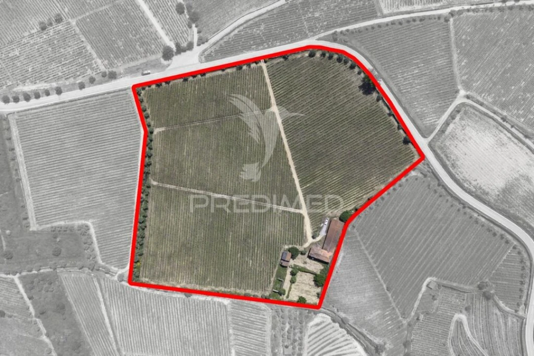 Quinta T5 para Venda em Favaios Foto 10