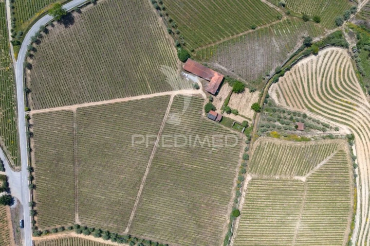 Quinta T5 para Venda em Favaios Foto 12