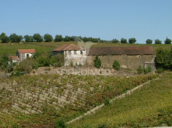 Quinta T5 para Venda em Favaios Foto 9