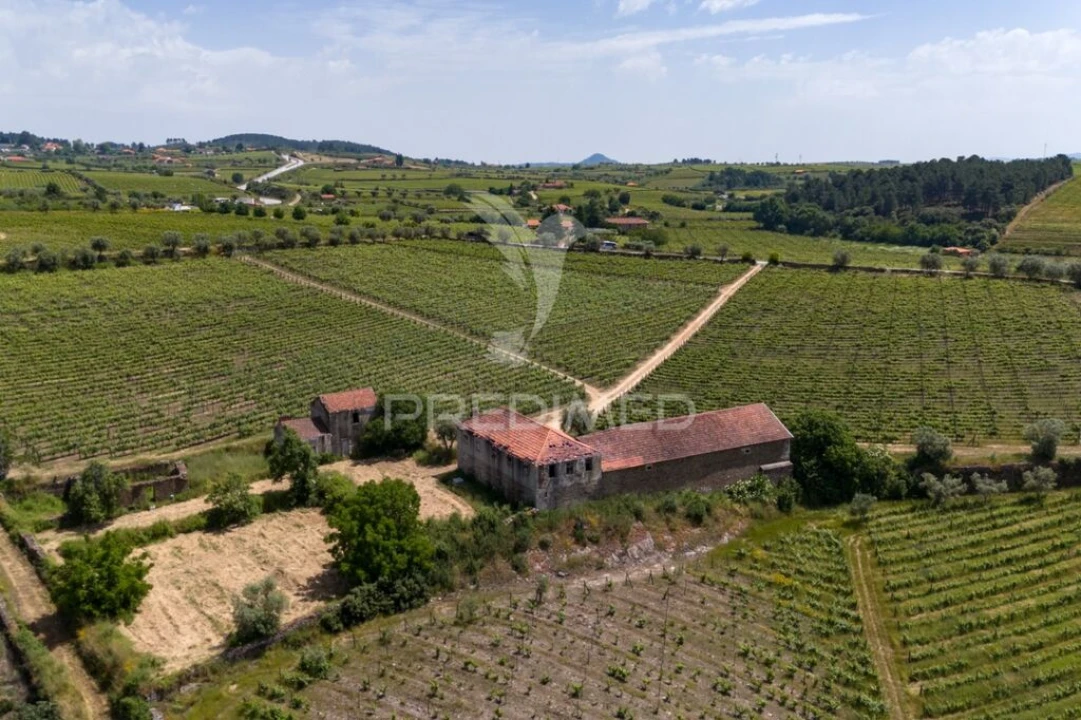 Quinta T5 para Venda em Favaios Foto 11