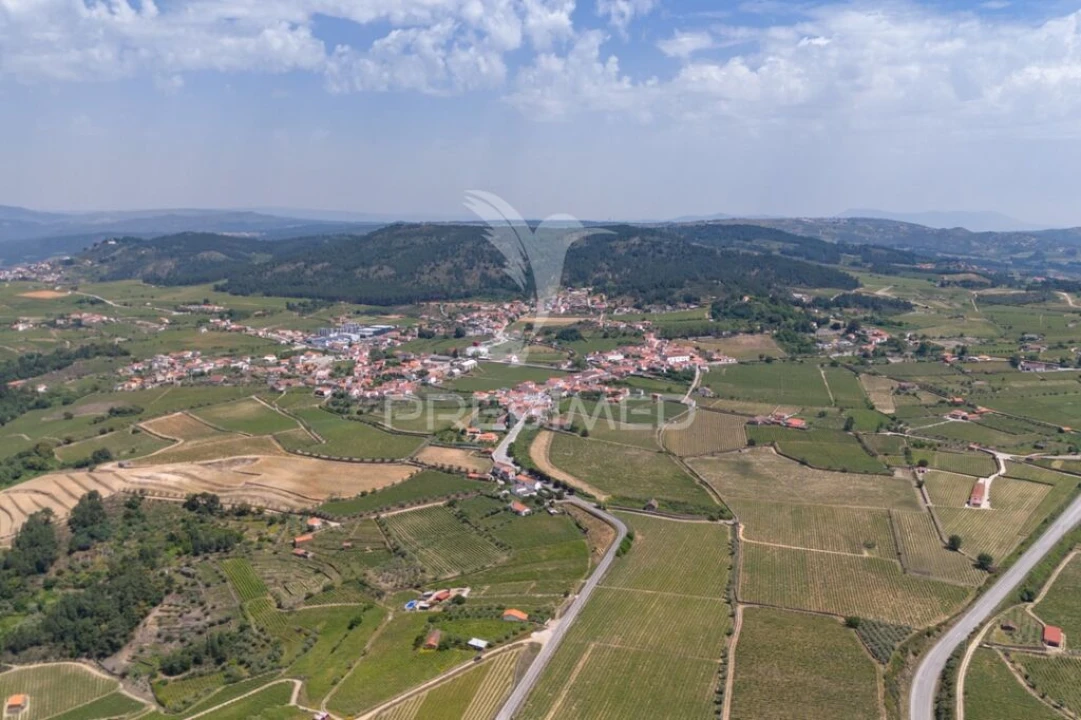 Quinta T5 para Venda em Favaios Foto 19