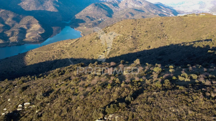 Terreno para Venda em Vila Nova de Foz Côa Foto 12