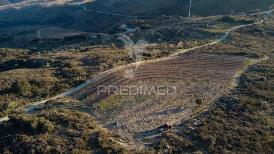 Terreno para Venda em Vila Nova de Foz Côa Foto 10