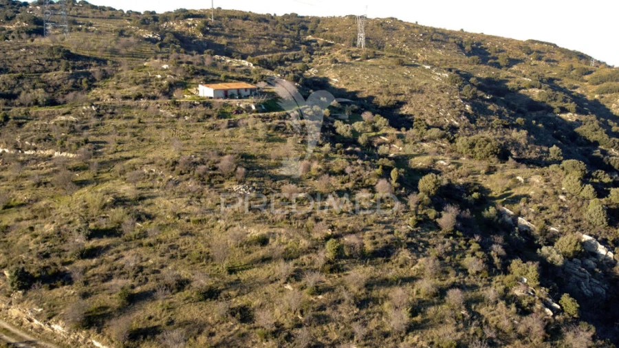 Terreno para Venda em Vila Nova de Foz Côa Foto 5