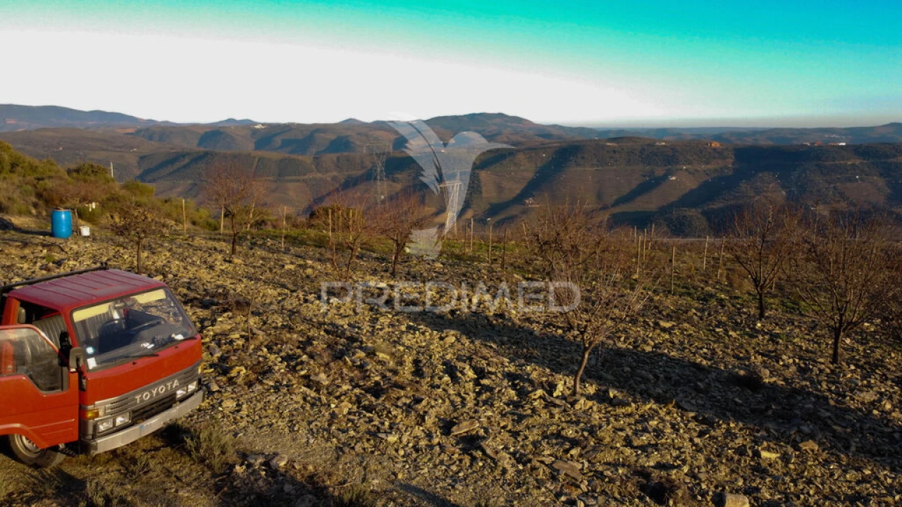 Terreno para Venda em Vila Nova de Foz Côa Foto 15