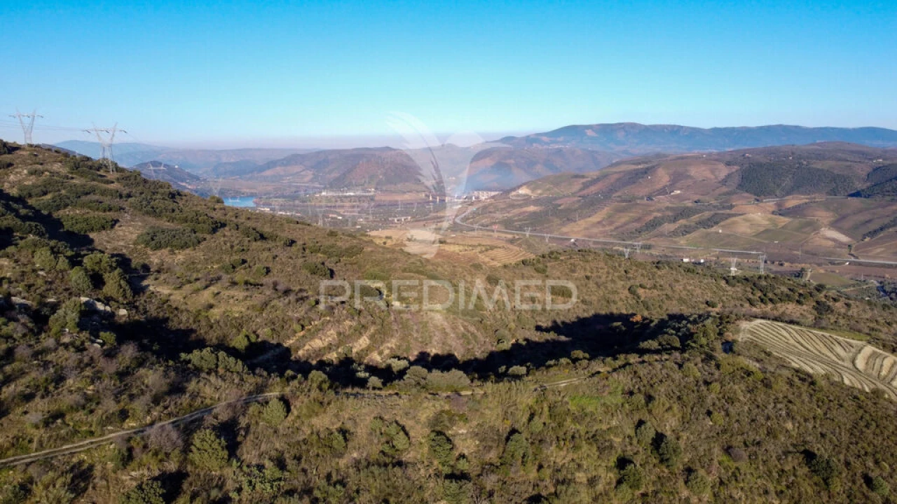 Terreno para Venda em Vila Nova de Foz Côa Foto 20