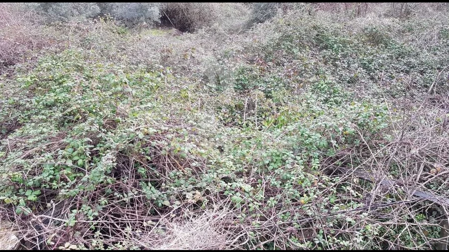 Terreno para Venda em Moura Morta e Vinhós