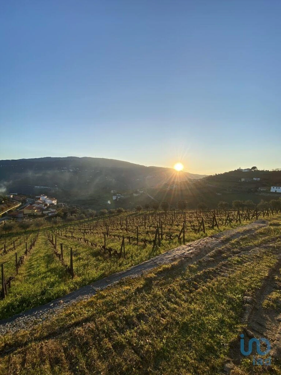 Moradia T3 para Venda em Fontelas Foto 6