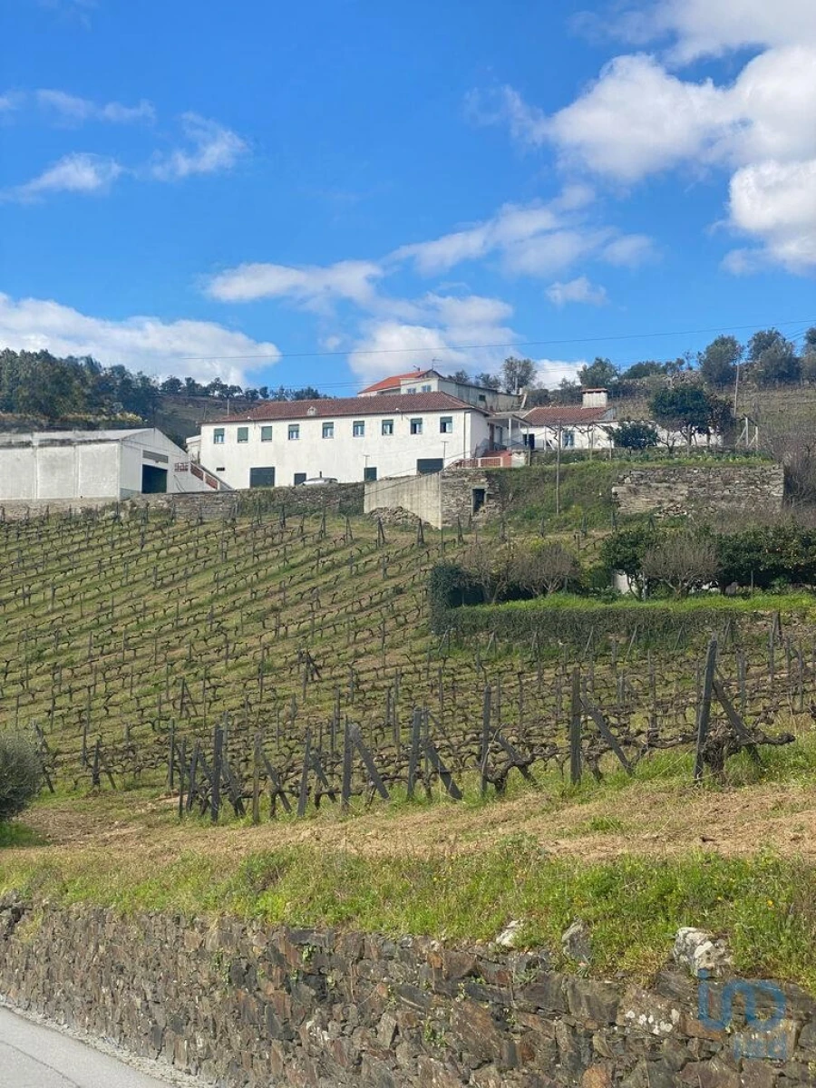 Moradia T3 para Venda em Fontelas Foto 3