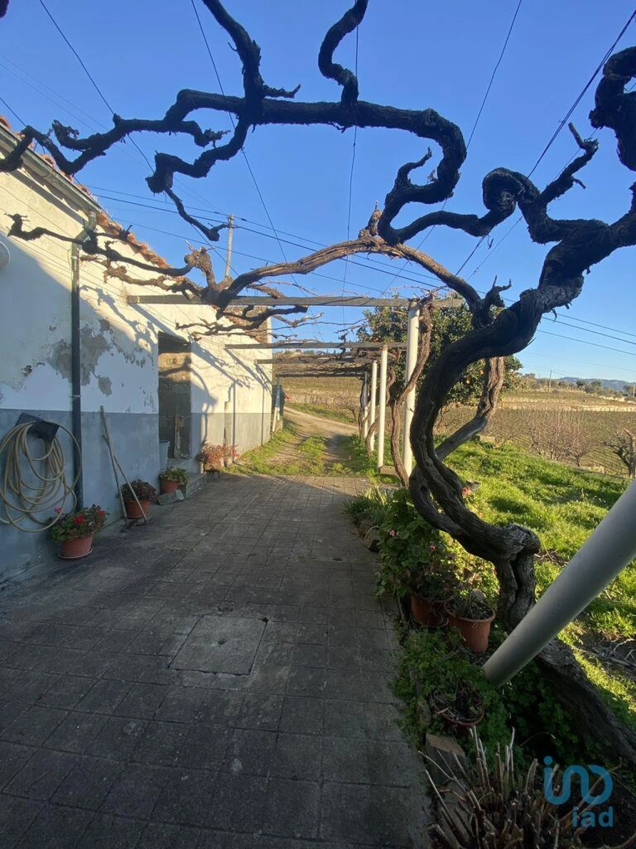 Moradia T3 para Venda em Fontelas Foto 9