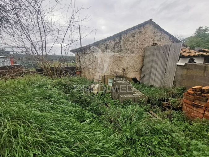 Moradia T2 para Venda em Golegã Foto 16