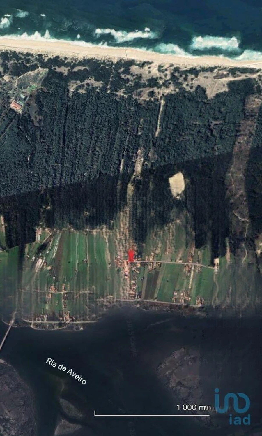 Terreno para Venda em Torreira Foto 2