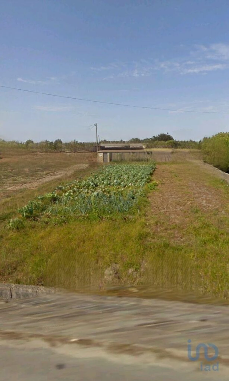 Terreno para Venda em Torreira