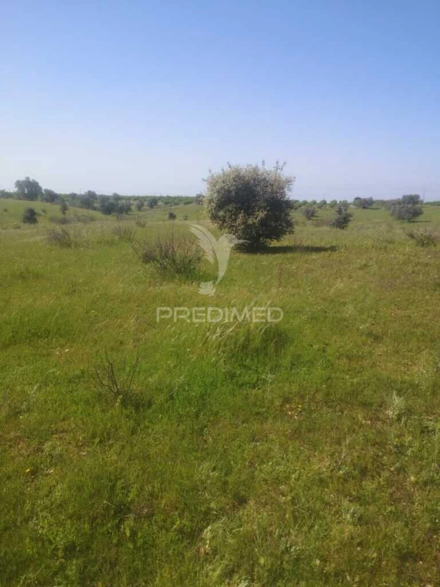 Terreno para Venda em Ferreira do Alentejo e Canhestros Foto 11