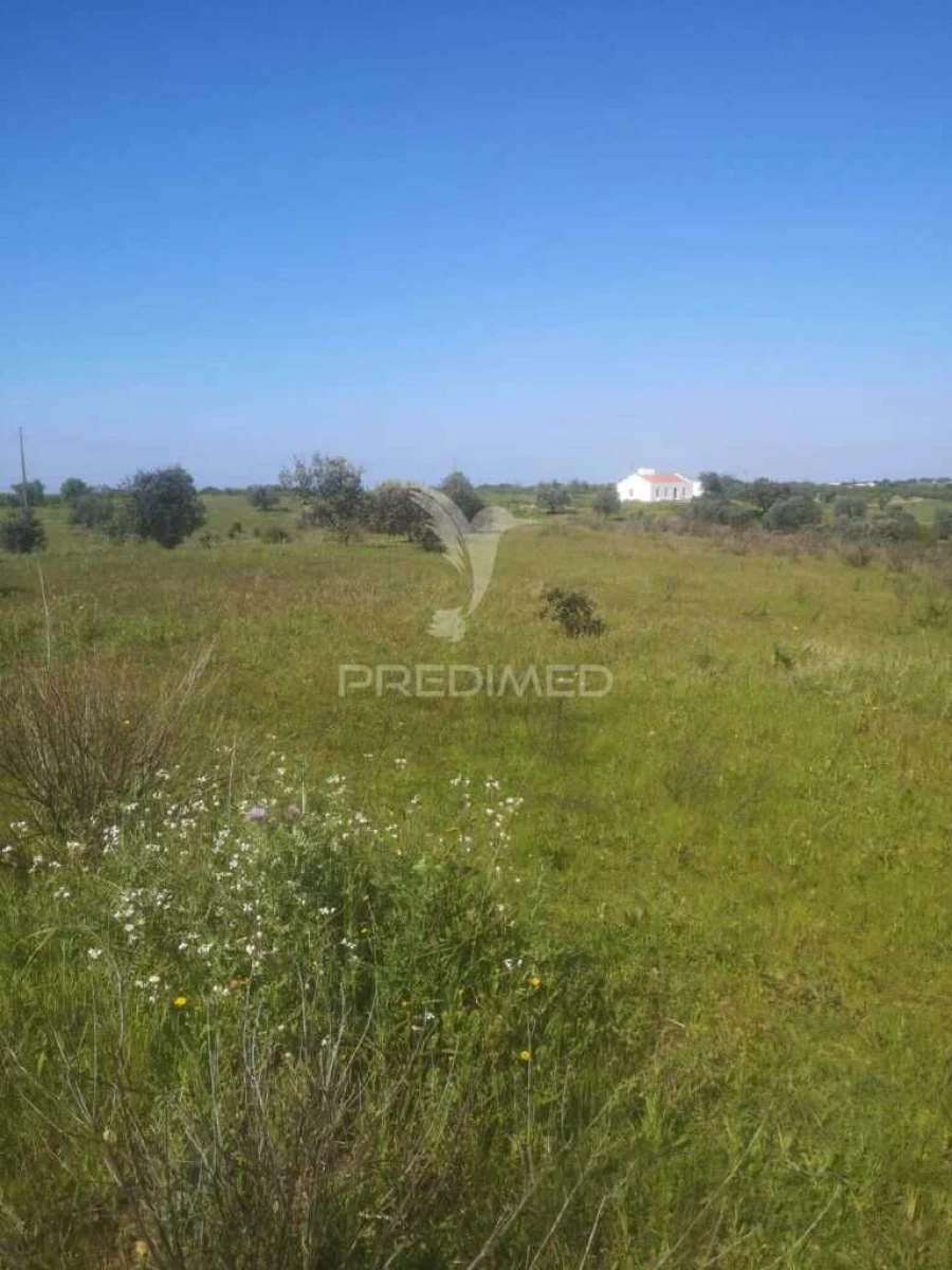 Terreno para Venda em Ferreira do Alentejo e Canhestros Foto 7