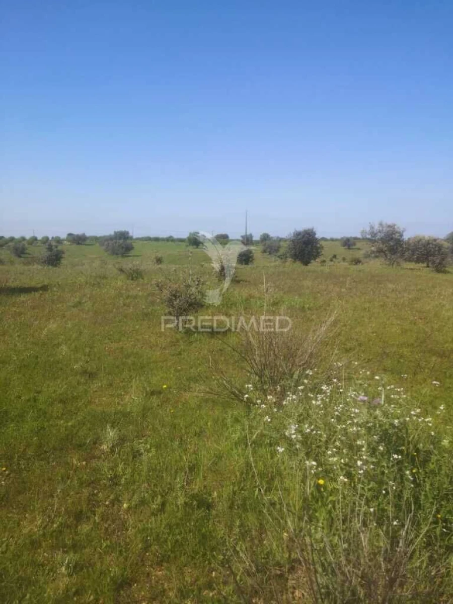 Terreno para Venda em Ferreira do Alentejo e Canhestros Foto 8