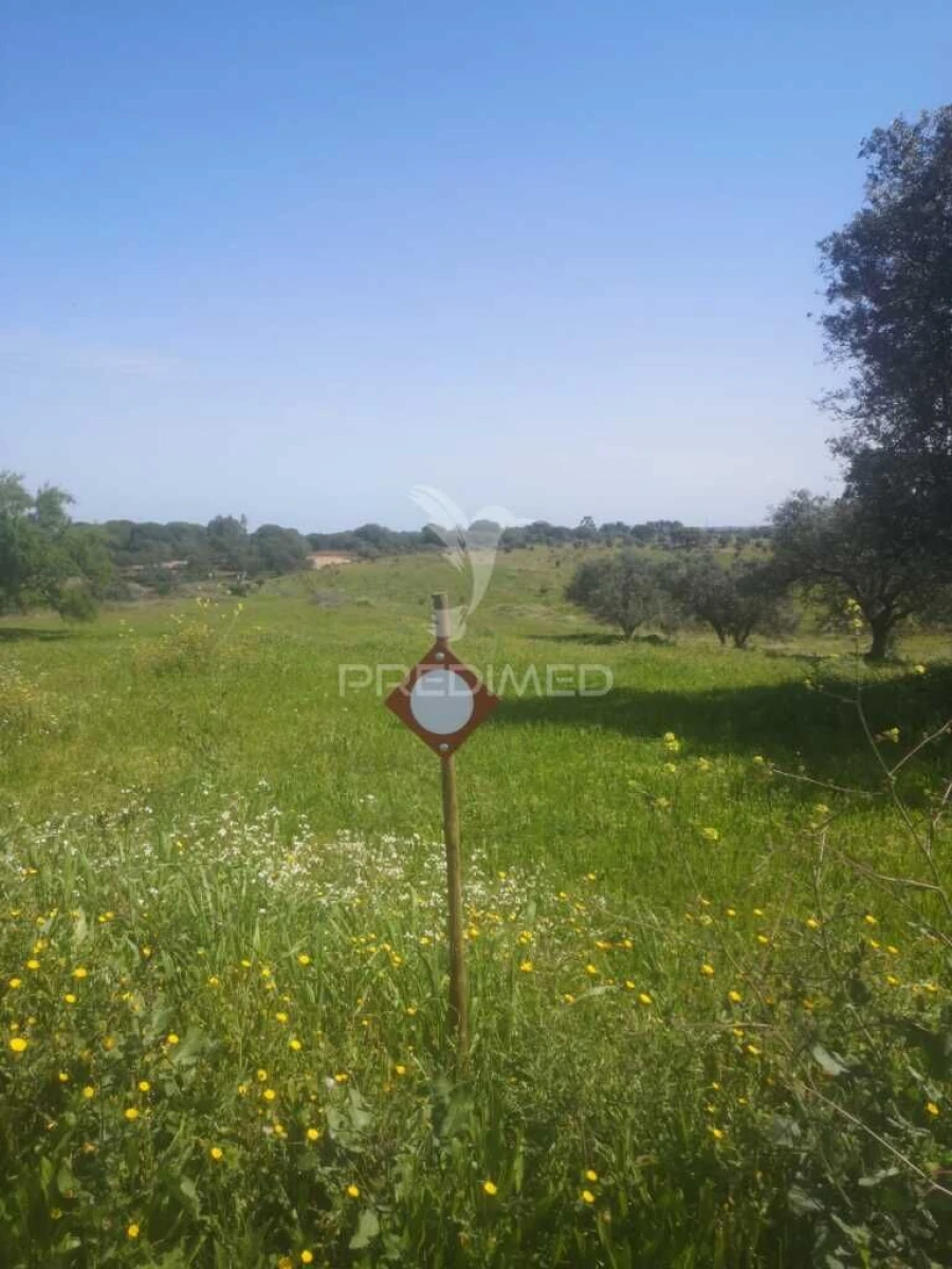 Terreno para Venda em Ferreira do Alentejo e Canhestros Foto 5