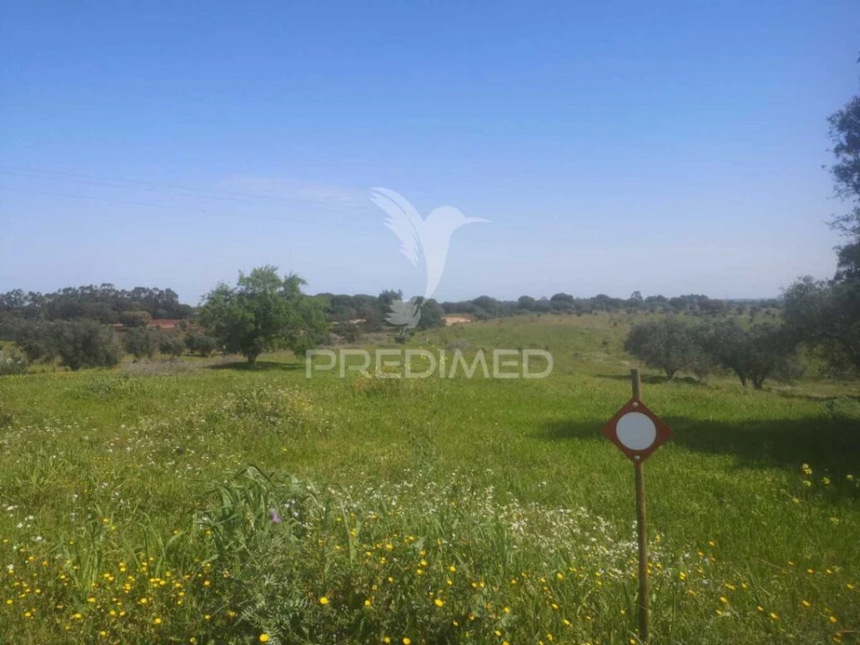Terreno para Venda em Ferreira do Alentejo e Canhestros Foto 6