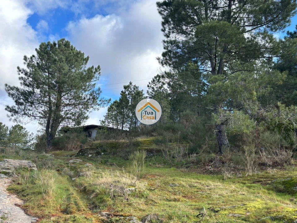 Terreno para Venda em Mouçós e Lamares Foto 10