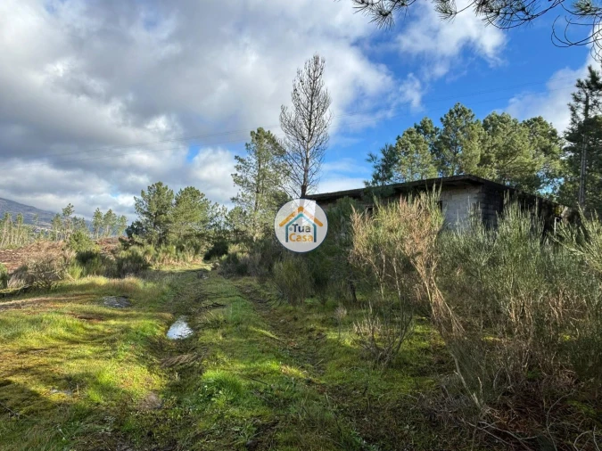 Terreno para Venda em Mouçós e Lamares Foto 15
