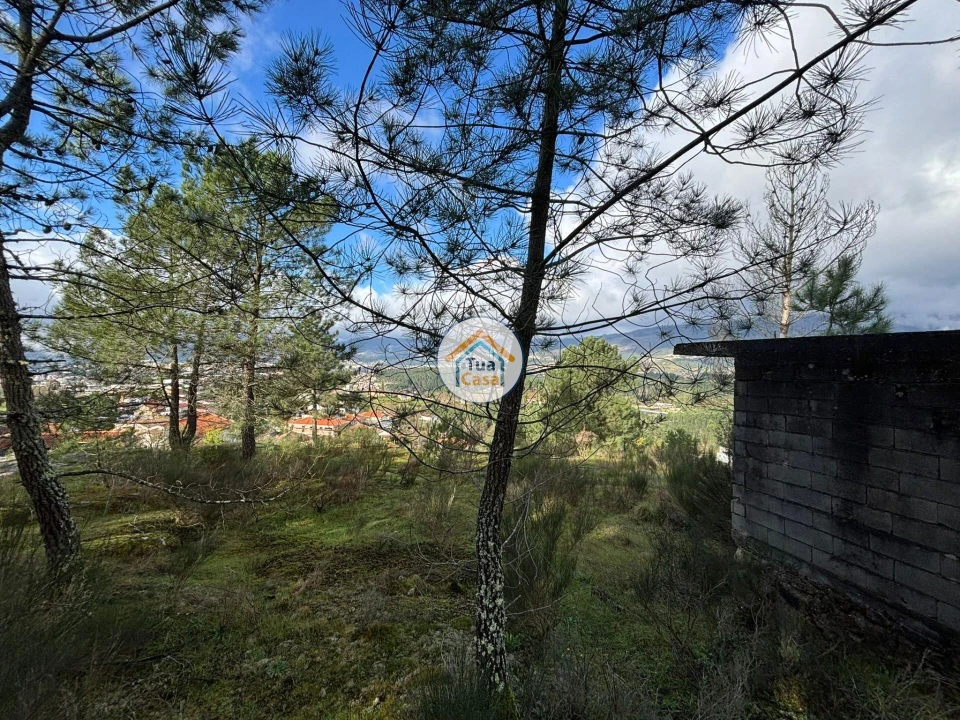 Terreno para Venda em Mouçós e Lamares Foto 16