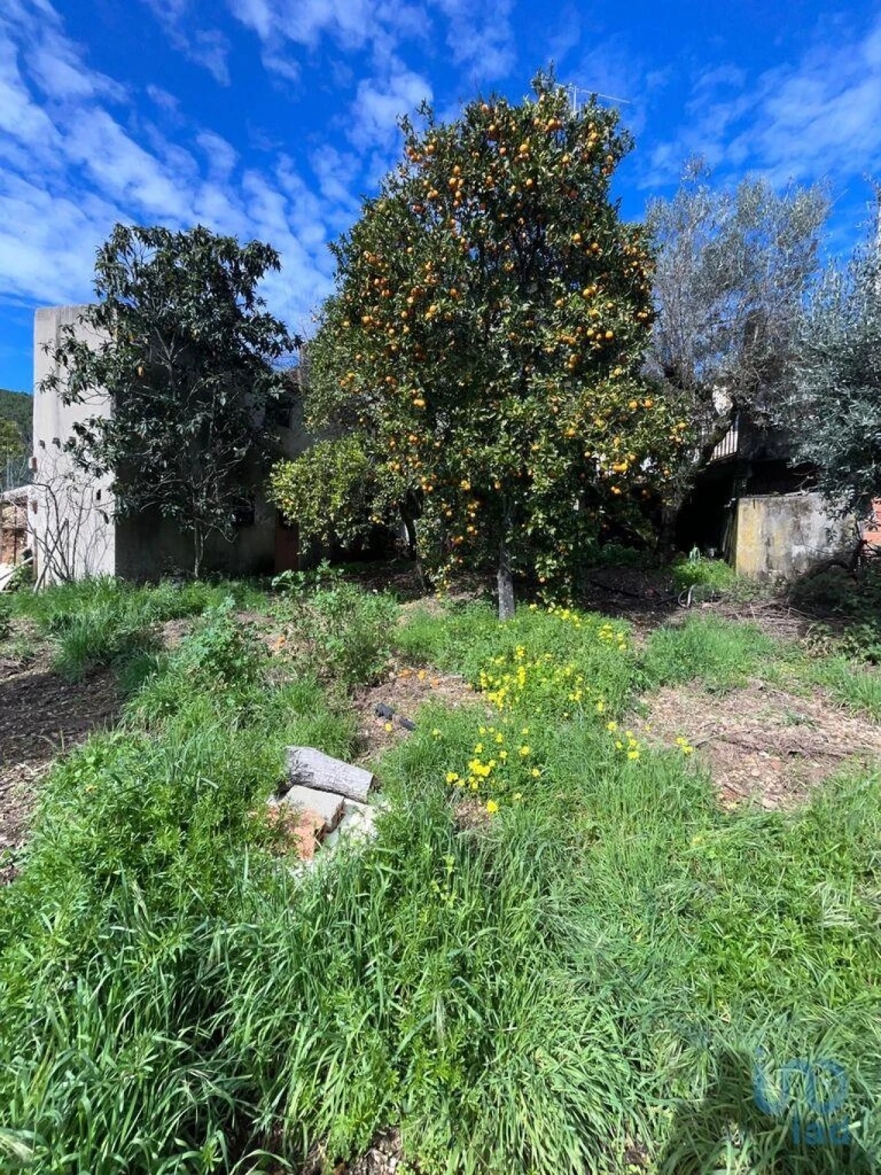 Moradia T2 para Venda em Sobreira Formosa e Alvito da Beira Foto 4