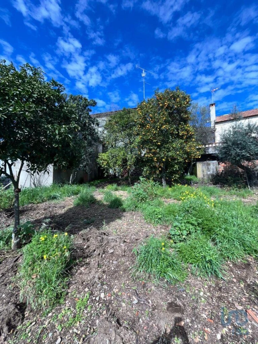 Moradia T2 para Venda em Sobreira Formosa e Alvito da Beira Foto 5