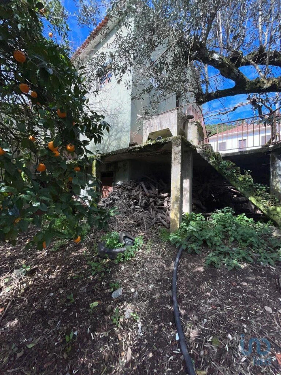 Moradia T2 para Venda em Sobreira Formosa e Alvito da Beira Foto 3