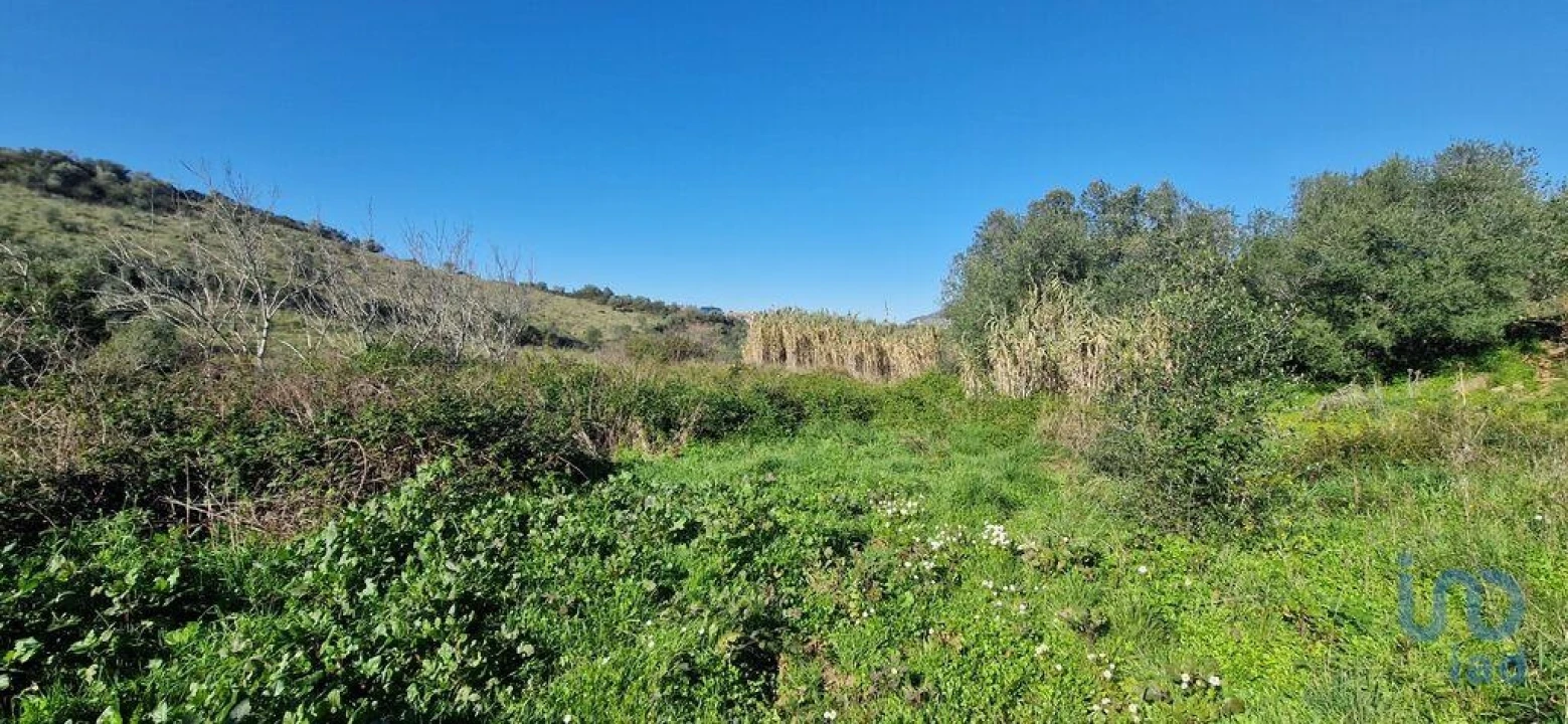 Terreno para Venda em Venda do Pinheiro e Santo Estêvão das Galés Foto 5