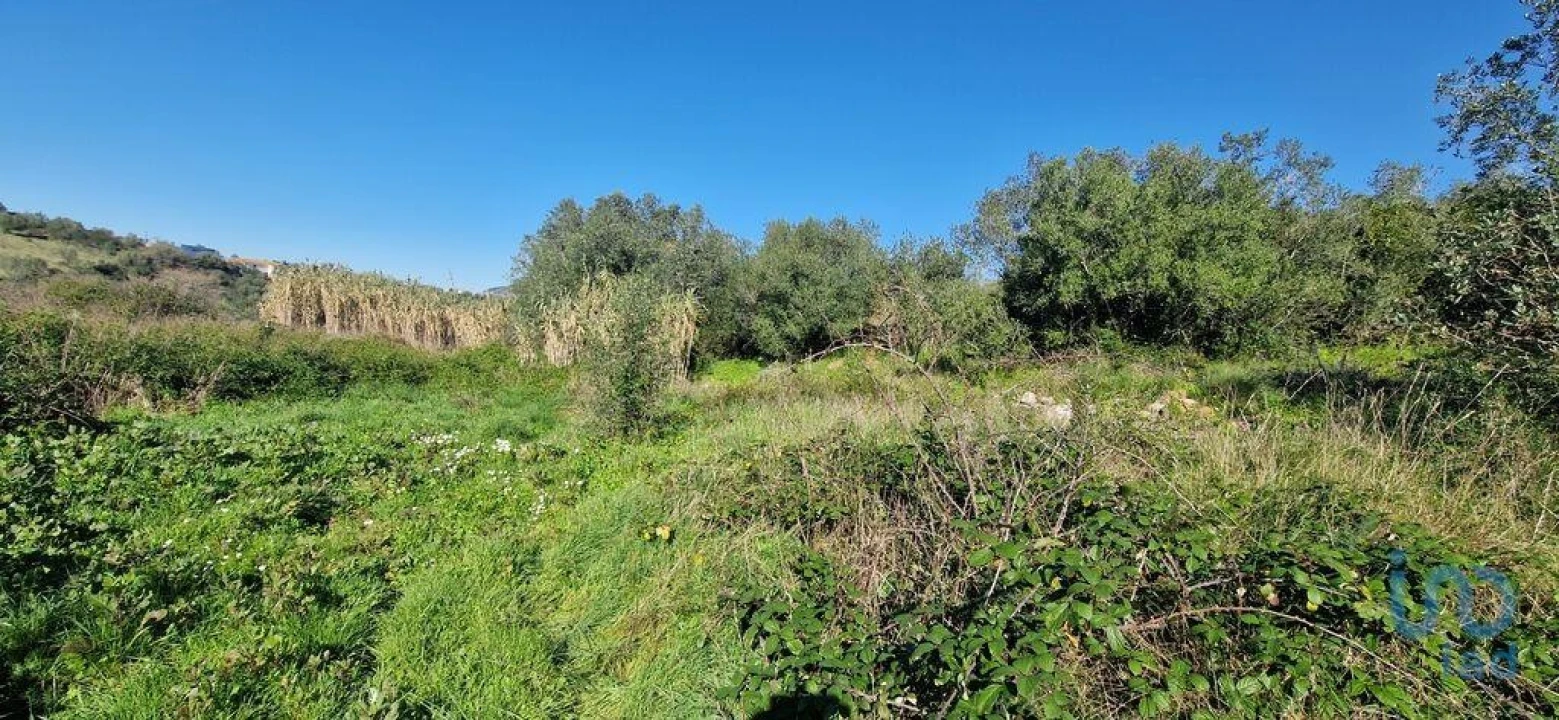 Terreno para Venda em Venda do Pinheiro e Santo Estêvão das Galés Foto 9