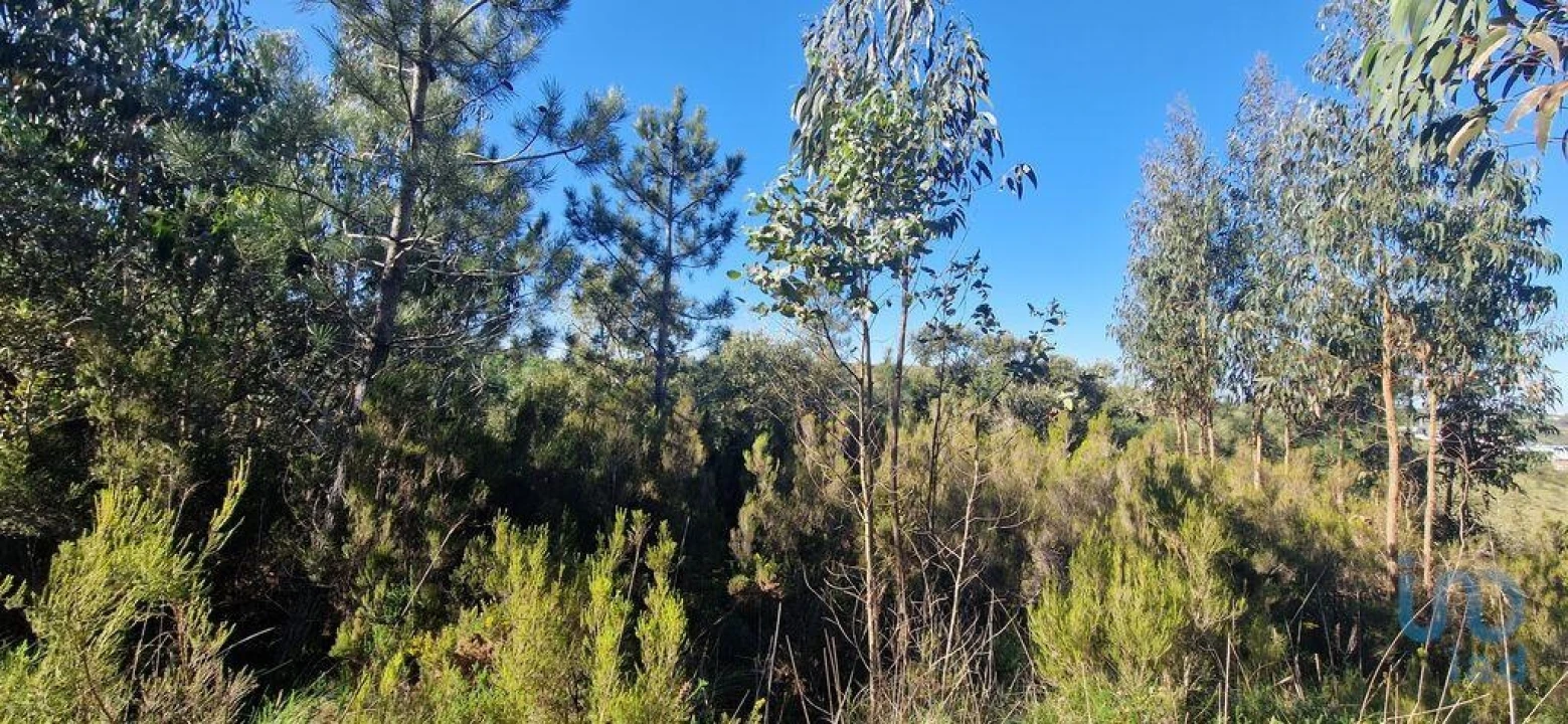 Terreno para Venda em Venda do Pinheiro e Santo Estêvão das Galés Foto 3