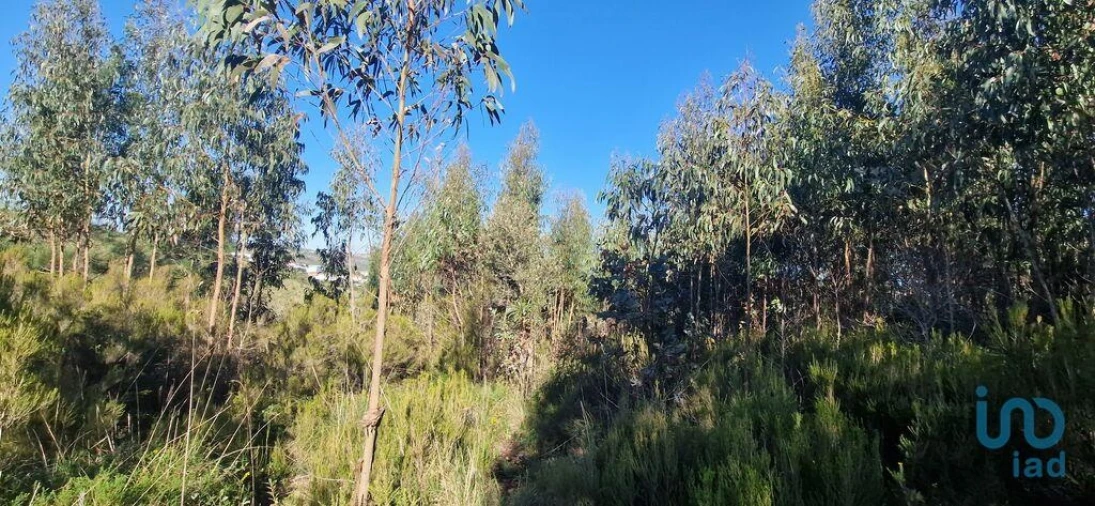 Terreno para Venda em Venda do Pinheiro e Santo Estêvão das Galés Foto 2