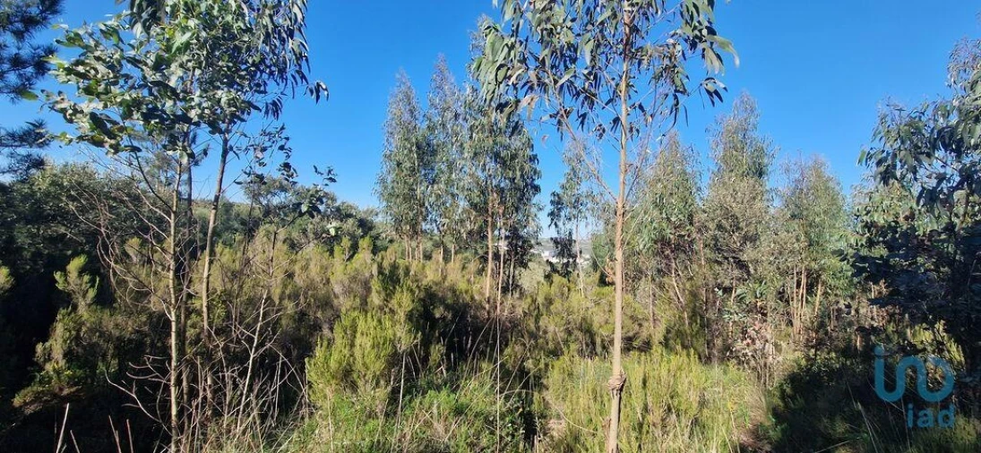 Terreno para Venda em Venda do Pinheiro e Santo Estêvão das Galés