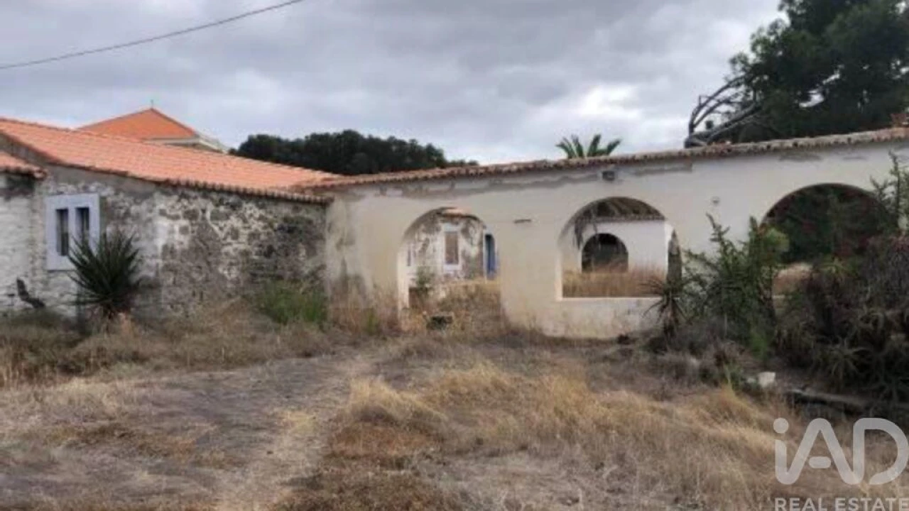 Prédio para Venda em Porto Santo Foto 13