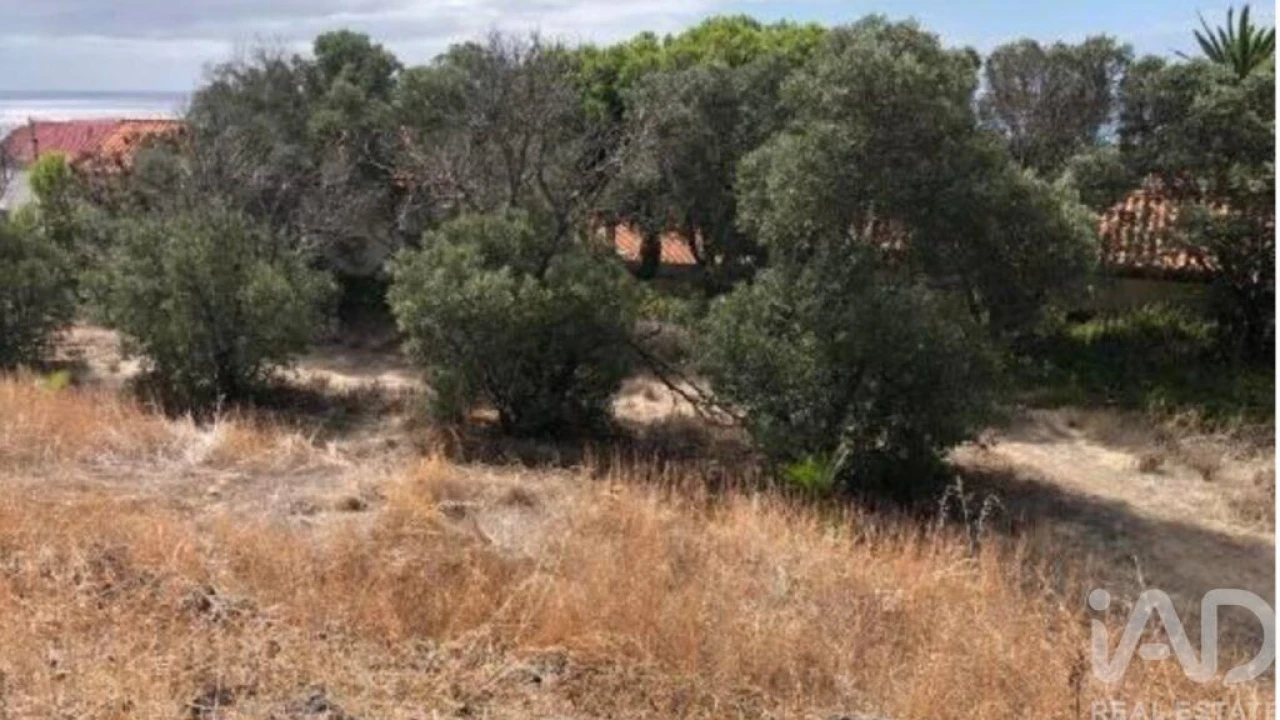 Prédio para Venda em Porto Santo Foto 8