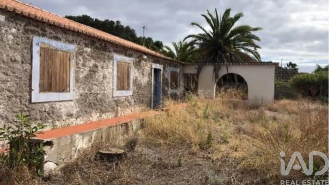 Prédio para Venda em Porto Santo Foto 1