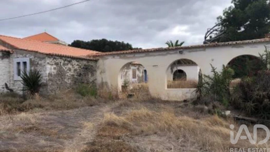 Prédio para Venda em Porto Santo Foto 13