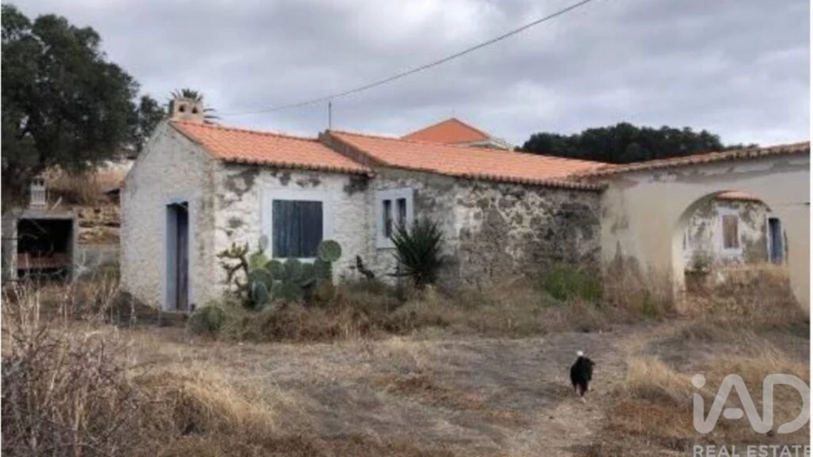 Prédio para Venda em Porto Santo Foto 10