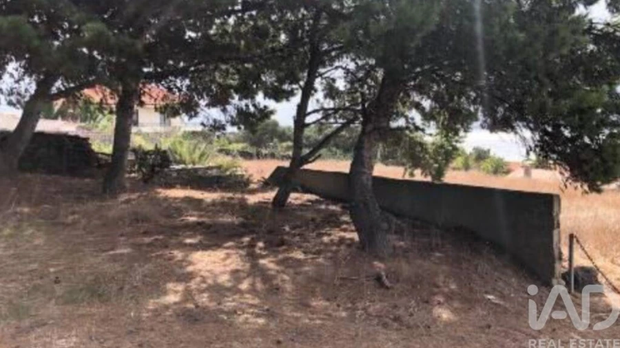 Prédio para Venda em Porto Santo Foto 5