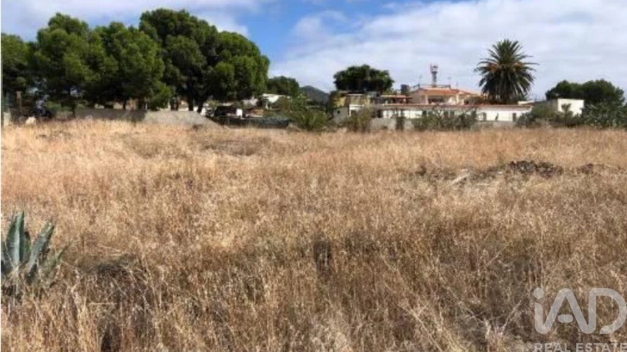 Prédio para Venda em Porto Santo Foto 4